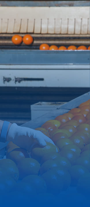 食品保鮮類(lèi)